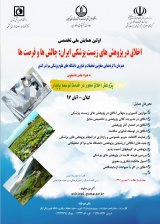 پوستر اولین همایش ملی اخلاق در پژوهش های زیست پزشکی ایران: چالش ها و فرصت ها